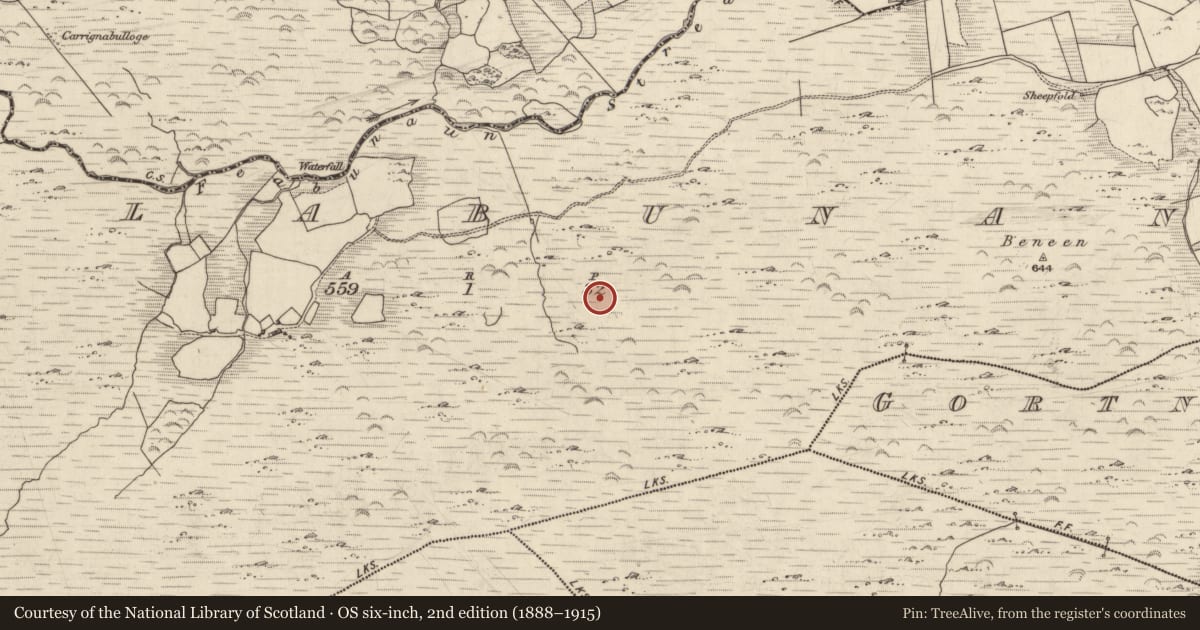 Ordnance Survey six-inch map, 2nd edition (1888–1915) covering the location of Hut site, Killabunane, County Kerry, with a pin at the register's coordinates