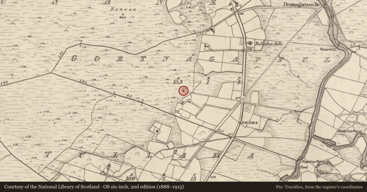 Ordnance Survey six-inch map, 2nd edition (1888–1915) covering the location of Standing stone, Gortnagappul, County Kerry, with a pin at the register's coordinates