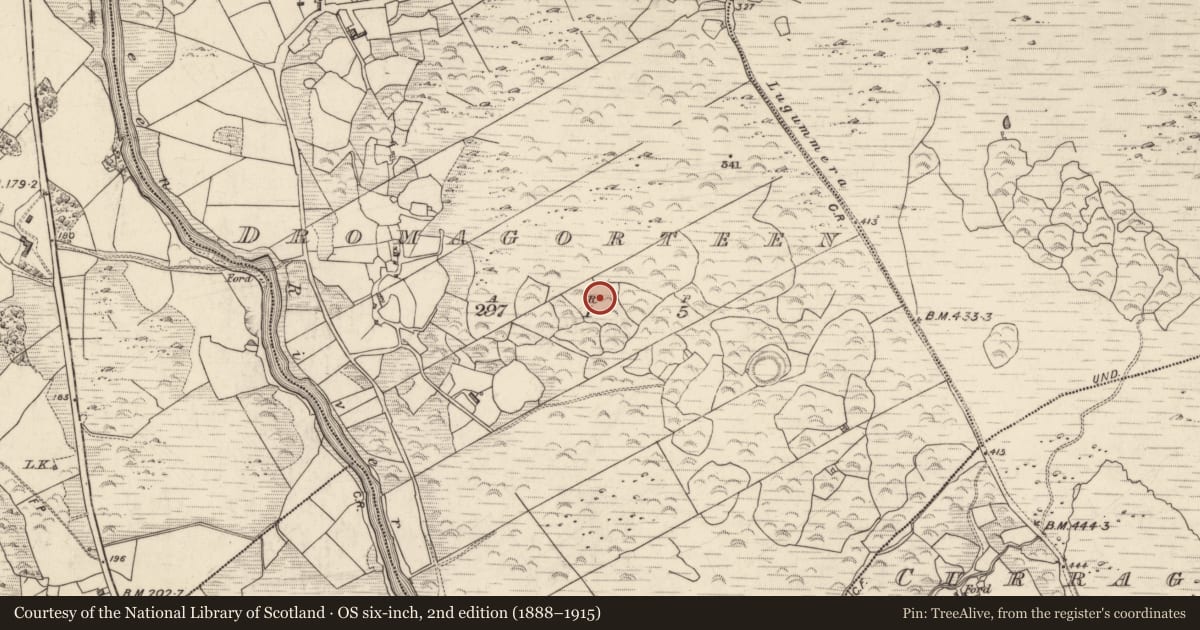 Ordnance Survey six-inch map, 2nd edition (1888–1915) covering the location of Megalithic tomb - wedge tomb, Dromagorteen, County Kerry, with a pin at the register's coordinates
