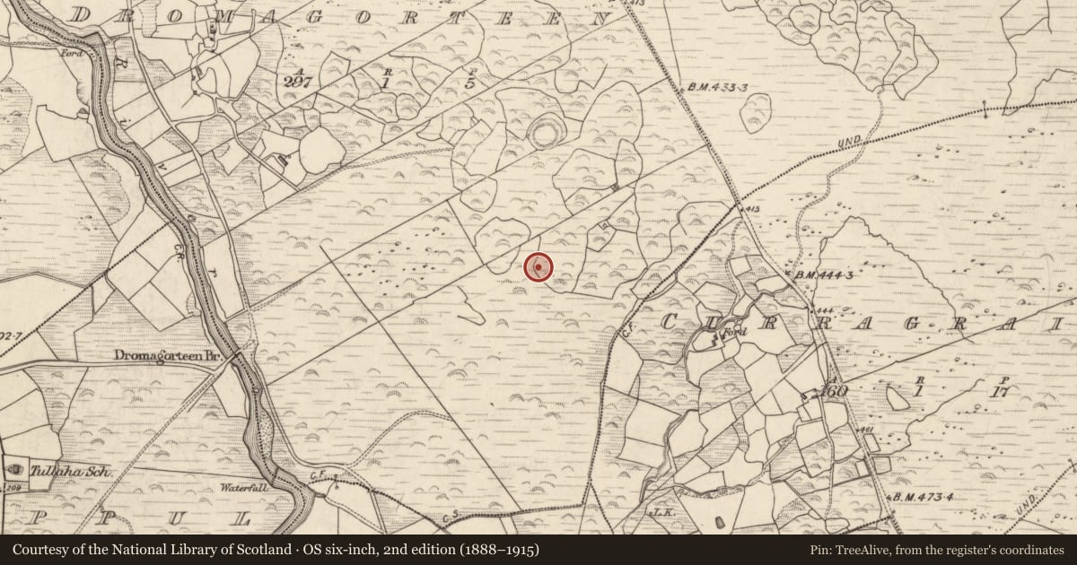 Ordnance Survey six-inch map, 2nd edition (1888–1915) covering the location of Souterrain, Dromagorteen, County Kerry, with a pin at the register's coordinates