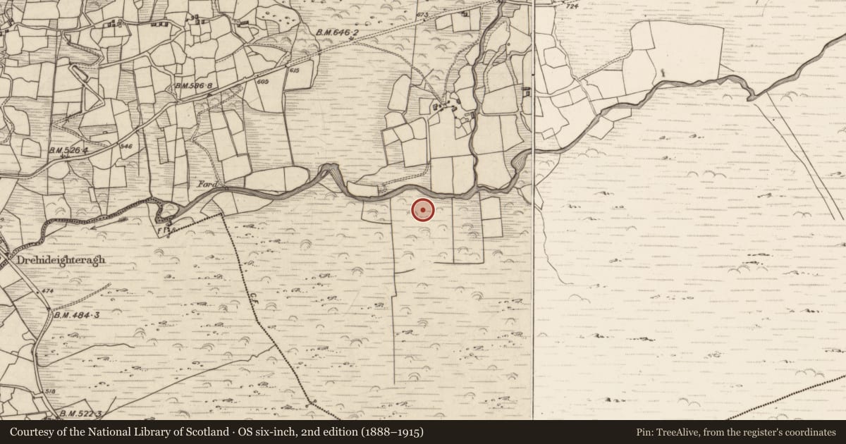 Ordnance Survey six-inch map, 2nd edition (1888–1915) covering the location of Kiln - lime, Erneen, County Kerry, with a pin at the register's coordinates