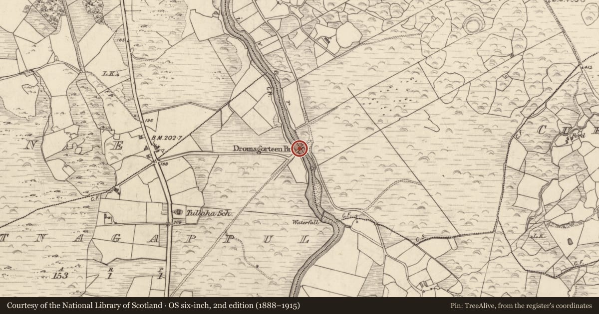 Ordnance Survey six-inch map, 2nd edition (1888–1915) covering the location of Bridge, Dromagorteen, Gortnagappul, County Kerry, with a pin at the register's coordinates