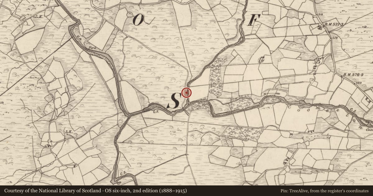Ordnance Survey six-inch map, 2nd edition (1888–1915) covering the location of Stepping stones, Garranes, County Kerry, with a pin at the register's coordinates