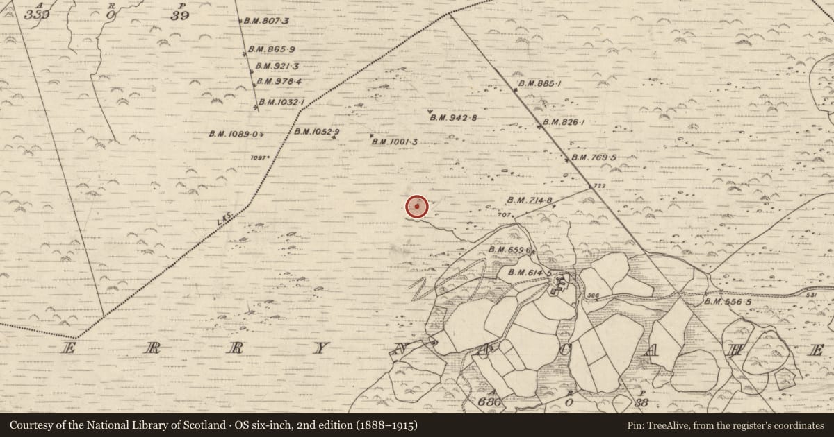 Ordnance Survey six-inch map, 2nd edition (1888–1915) covering the location of Kiln - lime, Derrynacaheragh, County Kerry, with a pin at the register's coordinates