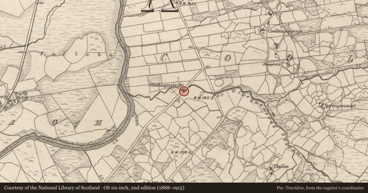 Ordnance Survey six-inch map, 2nd edition (1888–1915) covering the location of Bridge, Coolnagoppoge, Crinagort, County Kerry, with a pin at the register's coordinates