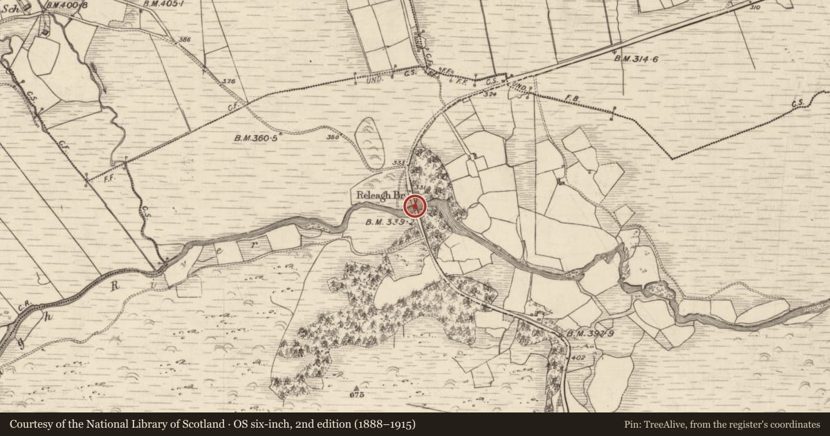 Ordnance Survey six-inch map, 2nd edition (1888–1915) covering the location of Bridge, Releagh, County Kerry, with a pin at the register's coordinates