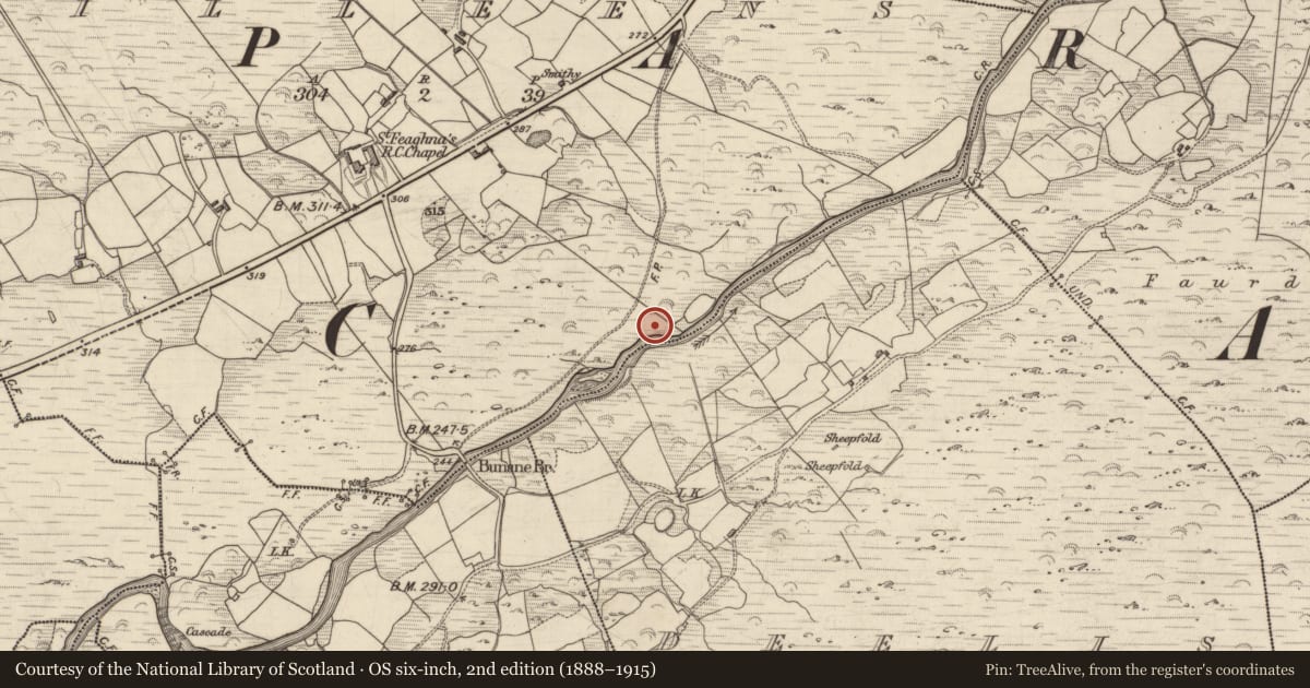 Ordnance Survey six-inch map, 2nd edition (1888–1915) covering the location of Coffin-resting stone, Milleens, County Kerry, with a pin at the register's coordinates