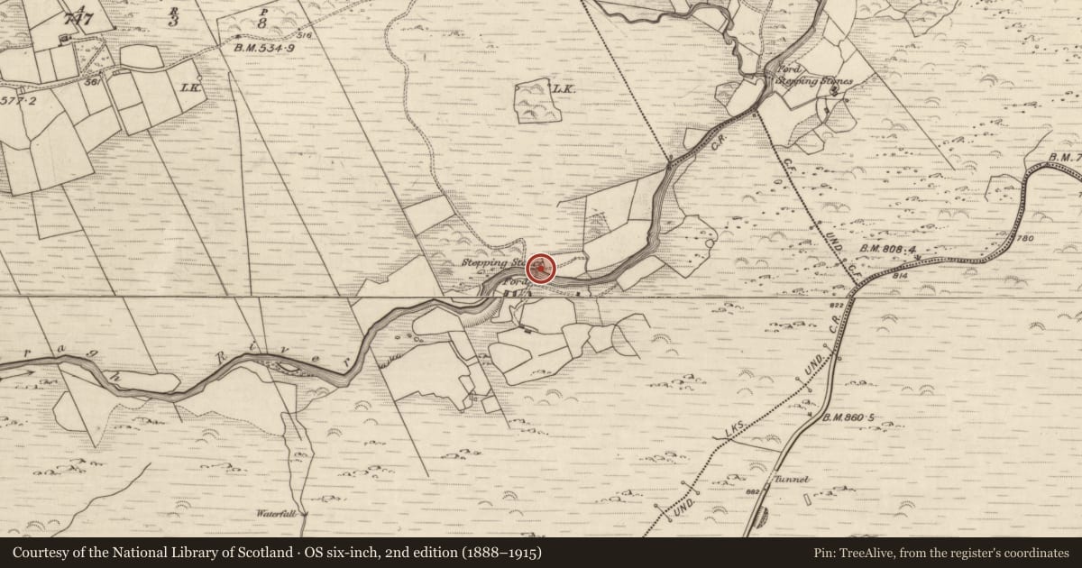 Ordnance Survey six-inch map, 2nd edition (1888–1915) covering the location of Stepping stones, Inishfoyle, County Kerry, with a pin at the register's coordinates