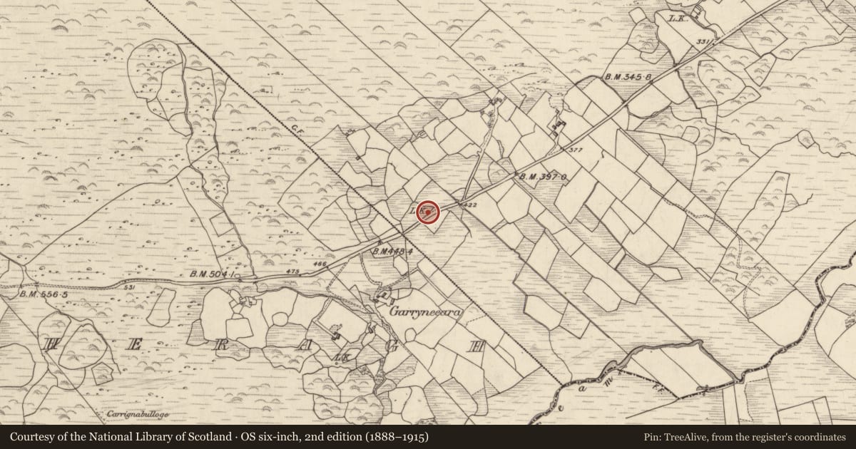 Ordnance Survey six-inch map, 2nd edition (1888–1915) covering the location of Kiln - lime, Derrynacoulagh, County Kerry, with a pin at the register's coordinates