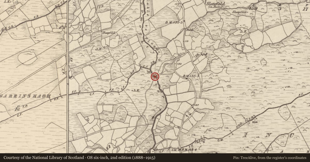 Ordnance Survey six-inch map, 2nd edition (1888–1915) covering the location of Bridge, Derreengarrinshagh, County Kerry, with a pin at the register's coordinates