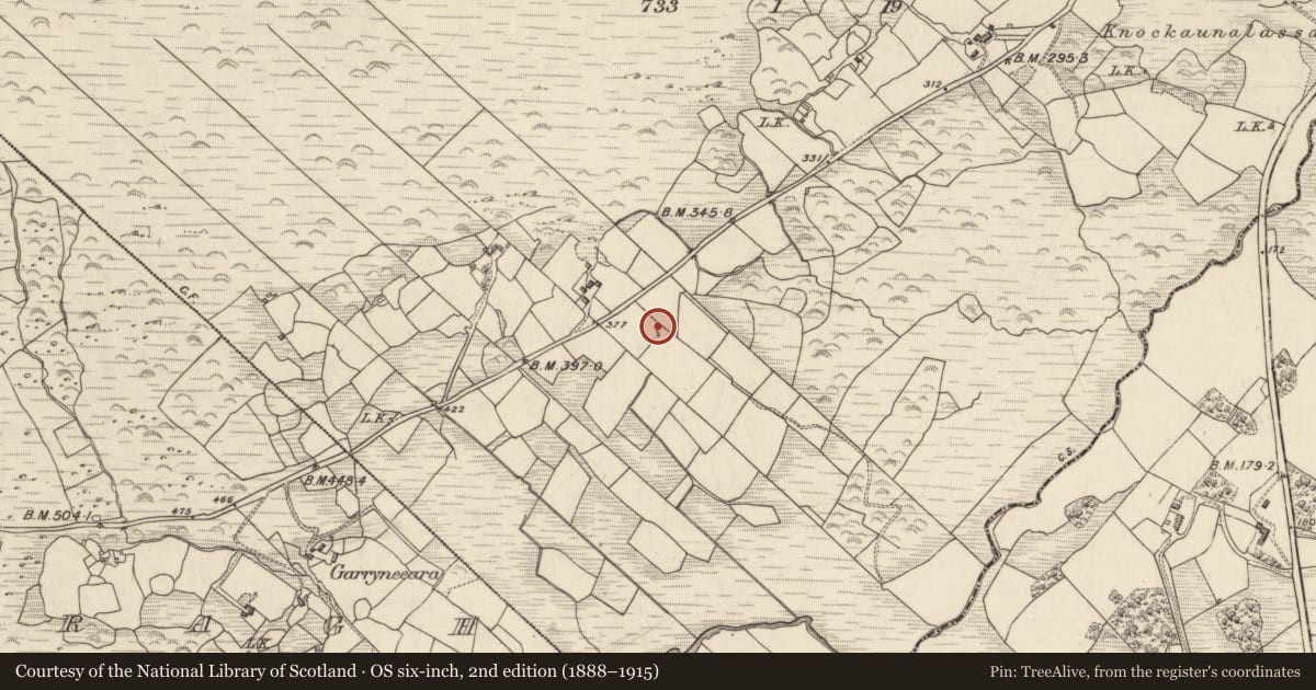 Ordnance Survey six-inch map, 2nd edition (1888–1915) covering the location of Rock art, Derrynacoulagh, County Kerry, with a pin at the register's coordinates