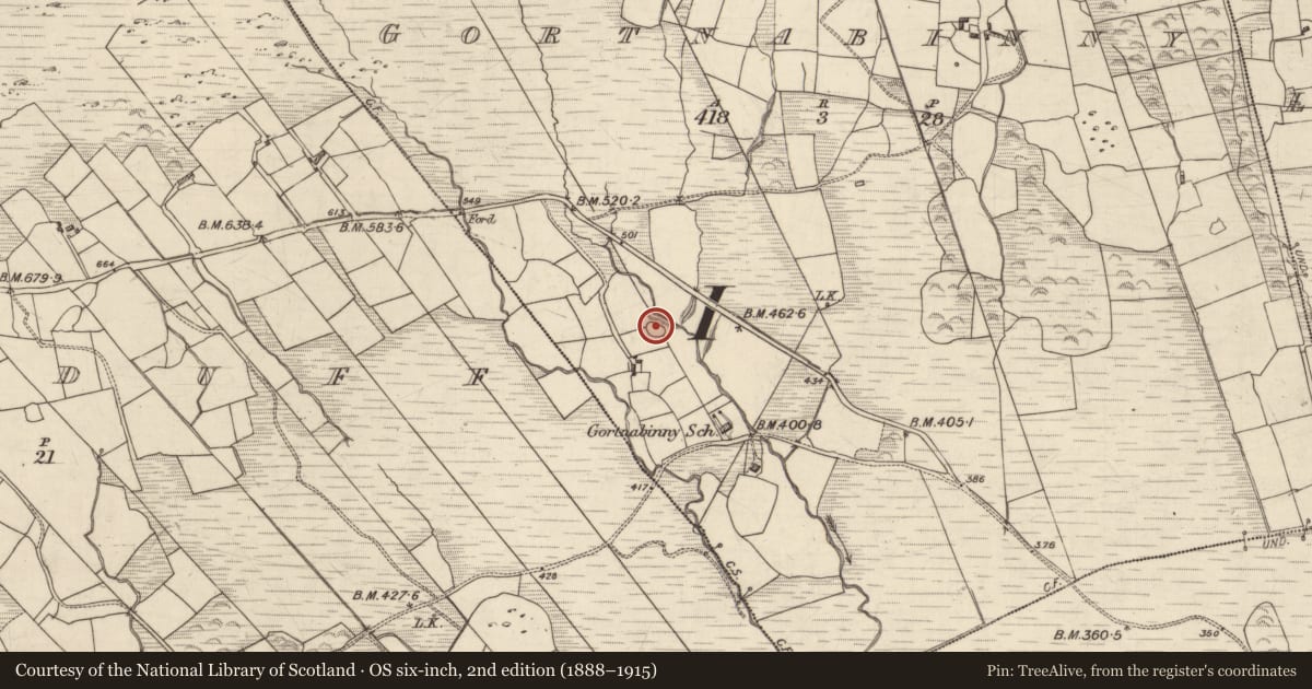 Ordnance Survey six-inch map, 2nd edition (1888–1915) covering the location of Ringfort - unclassified, Gortnabinny, County Kerry, with a pin at the register's coordinates