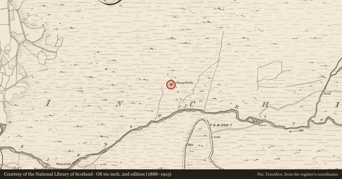 Ordnance Survey six-inch map, 2nd edition (1888–1915) covering the location of Enclosure, Inchinanagh, County Kerry, with a pin at the register's coordinates