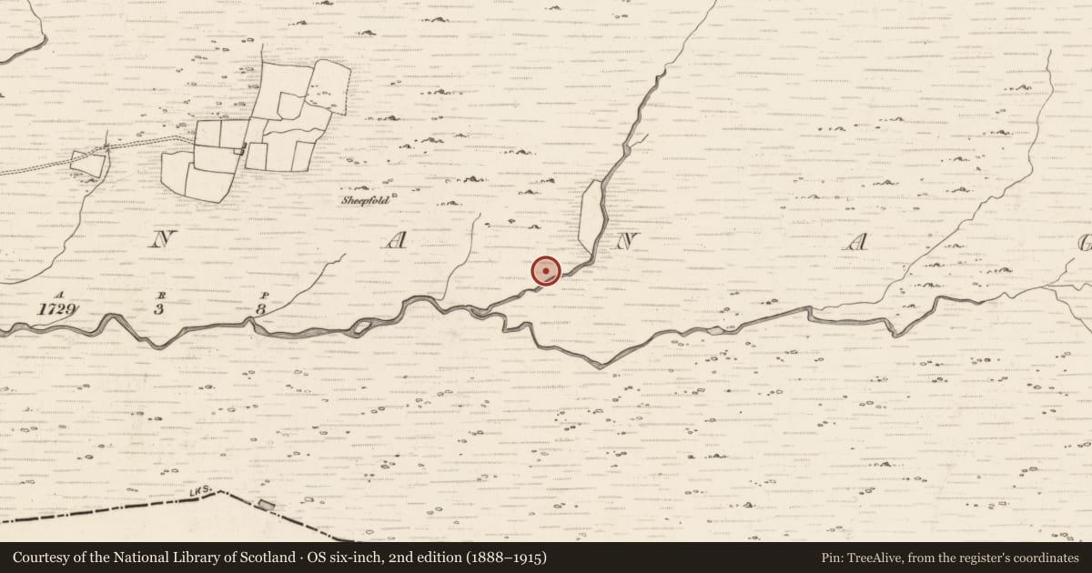 Ordnance Survey six-inch map, 2nd edition (1888–1915) covering the location of Enclosure, Inchinanagh, County Kerry, with a pin at the register's coordinates