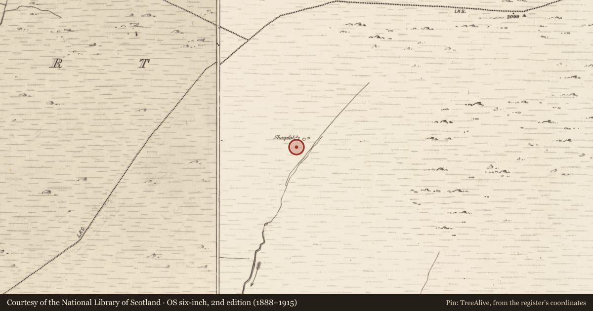 Ordnance Survey six-inch map, 2nd edition (1888–1915) covering the location of Hut site, Erneen, County Kerry, with a pin at the register's coordinates
