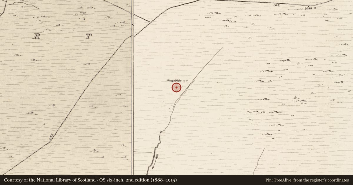 Ordnance Survey six-inch map, 2nd edition (1888–1915) covering the location of Hut site, Erneen, County Kerry, with a pin at the register's coordinates