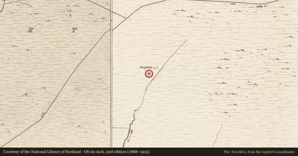 Ordnance Survey six-inch map, 2nd edition (1888–1915) covering the location of Hut site, Erneen, County Kerry, with a pin at the register's coordinates