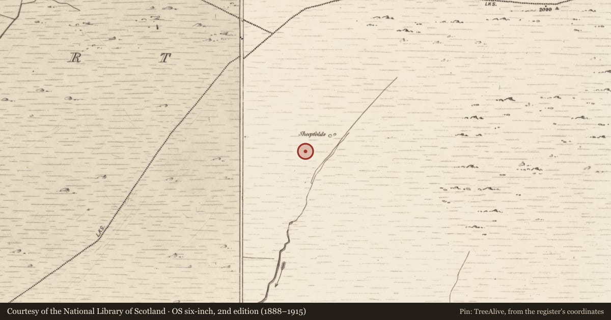 Ordnance Survey six-inch map, 2nd edition (1888–1915) covering the location of Hut site, Erneen, County Kerry, with a pin at the register's coordinates
