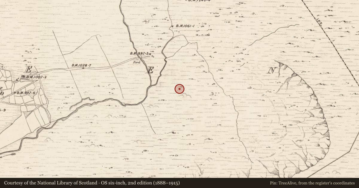 Ordnance Survey six-inch map, 2nd edition (1888–1915) covering the location of Hut site, Erneen, County Kerry, with a pin at the register's coordinates