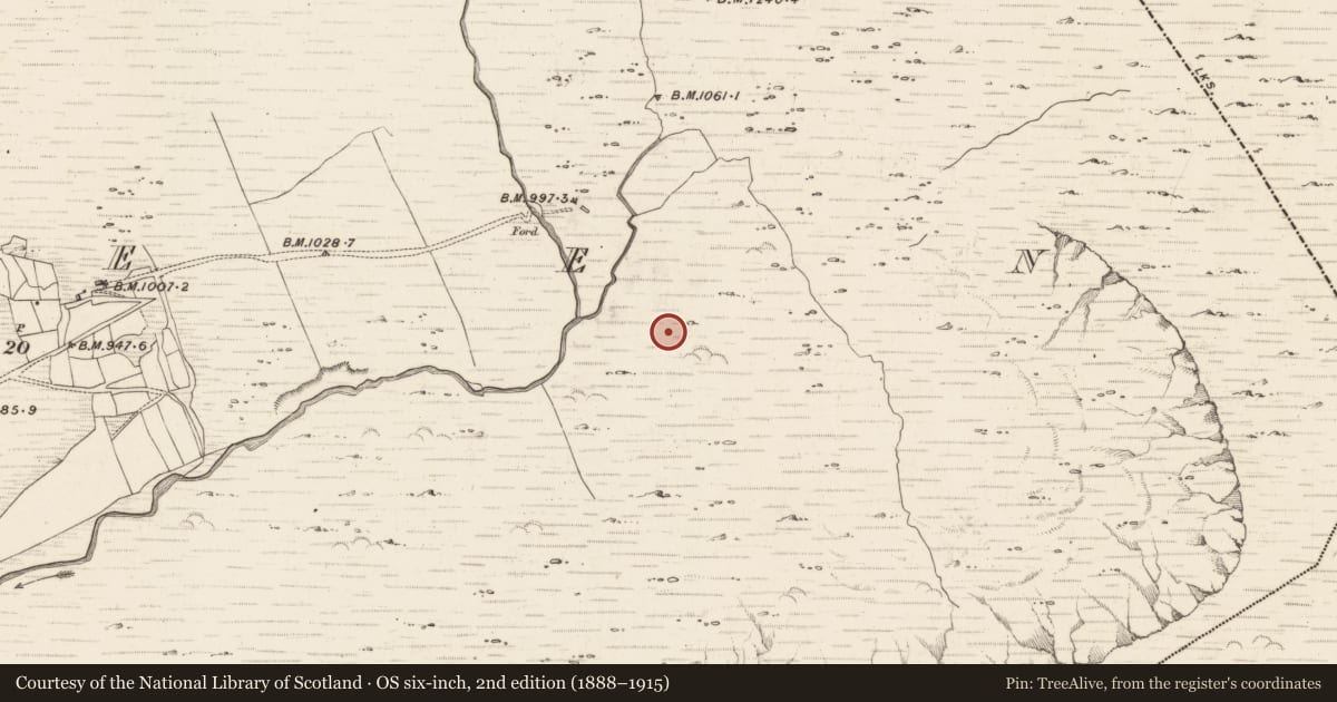 Ordnance Survey six-inch map, 2nd edition (1888–1915) covering the location of Hut site, Erneen, County Kerry, with a pin at the register's coordinates