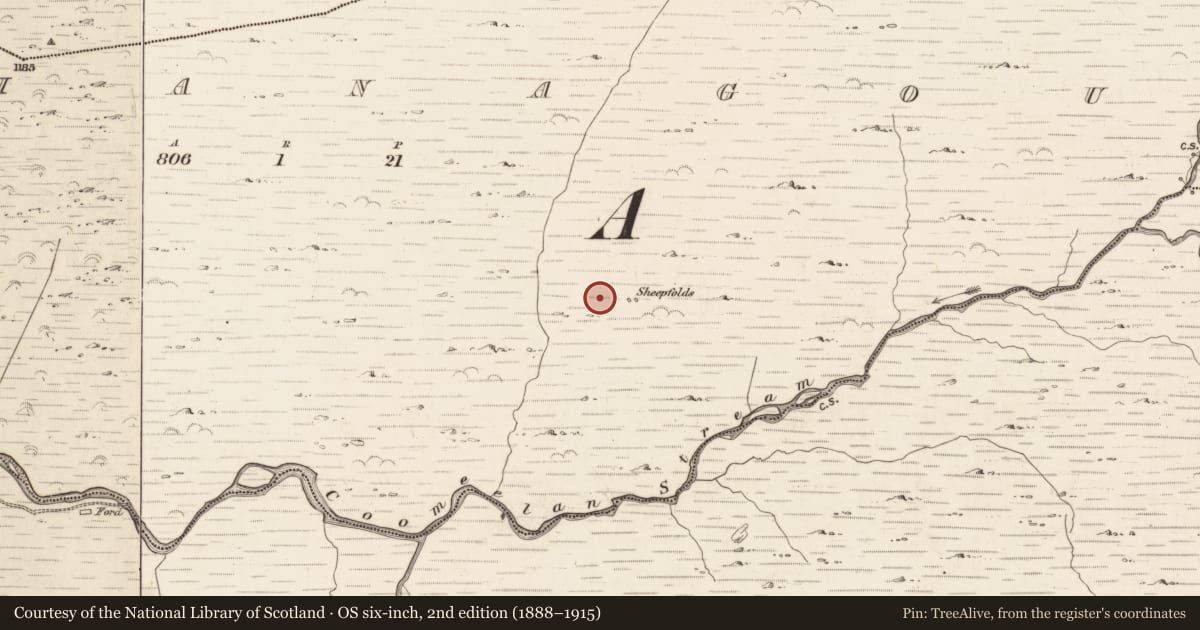 Ordnance Survey six-inch map, 2nd edition (1888–1915) covering the location of Hut site, Gearhanagoul, County Kerry, with a pin at the register's coordinates