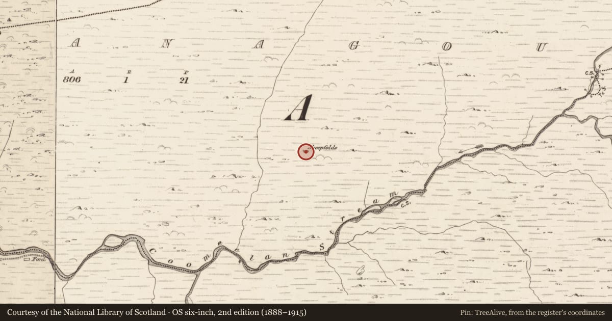 Ordnance Survey six-inch map, 2nd edition (1888–1915) covering the location of Hut site, Gearhanagoul, County Kerry, with a pin at the register's coordinates
