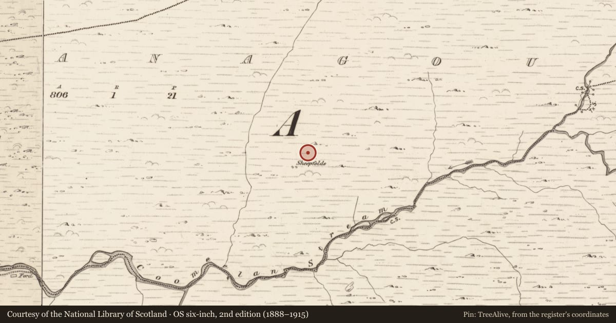 Ordnance Survey six-inch map, 2nd edition (1888–1915) covering the location of Hut site, Gearhanagoul, County Kerry, with a pin at the register's coordinates