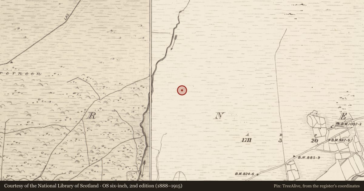 Ordnance Survey six-inch map, 2nd edition (1888–1915) covering the location of Field boundary, Erneen, County Kerry, with a pin at the register's coordinates