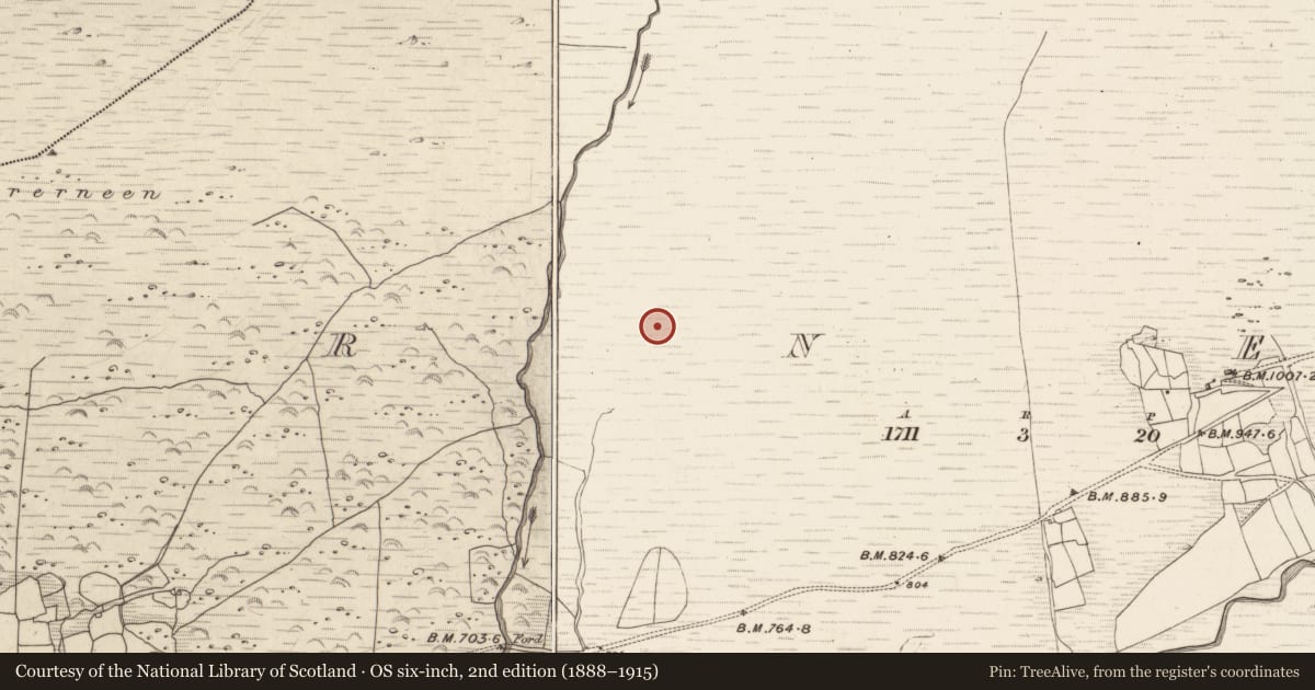 Ordnance Survey six-inch map, 2nd edition (1888–1915) covering the location of Hut site, Erneen, County Kerry, with a pin at the register's coordinates