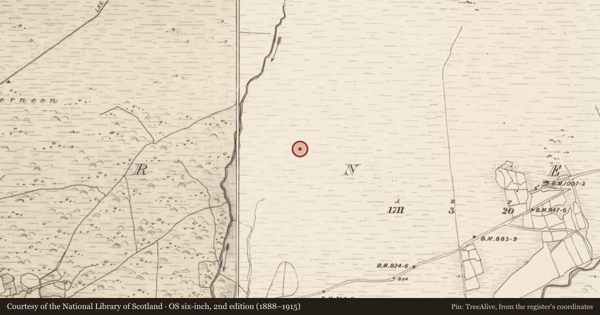 Ordnance Survey six-inch map, 2nd edition (1888–1915) covering the location of Hut site, Erneen, County Kerry, with a pin at the register's coordinates