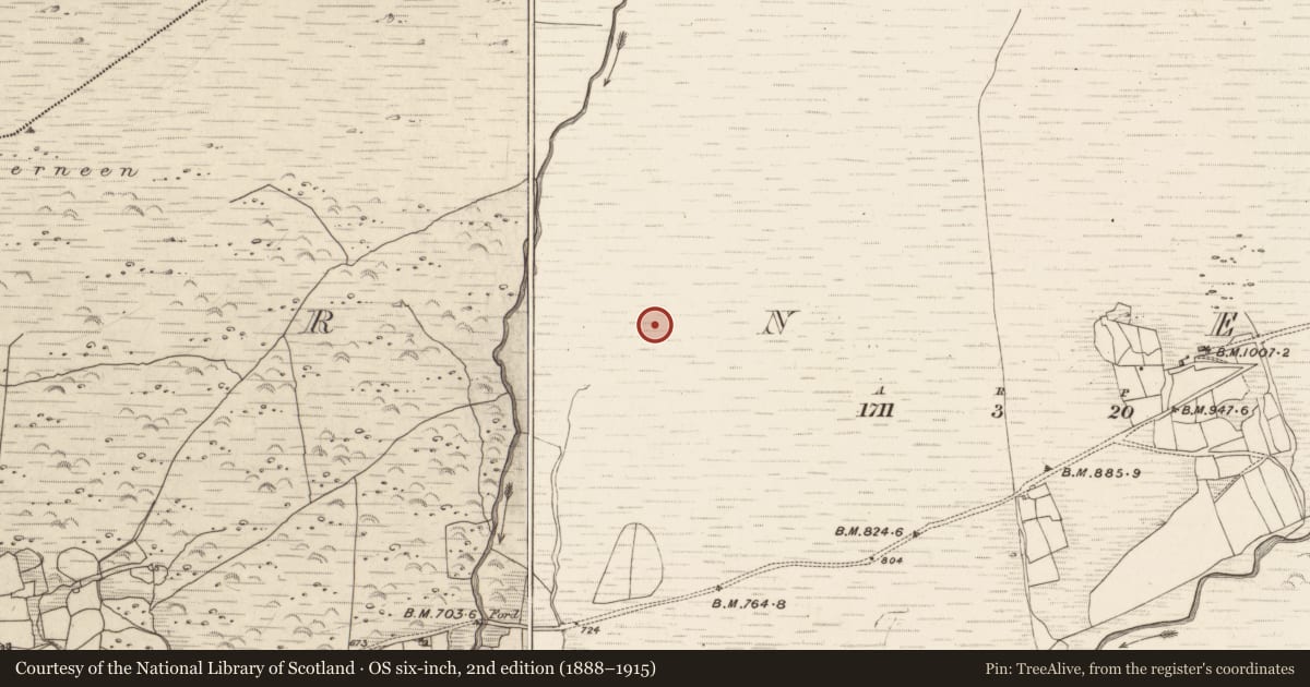 Ordnance Survey six-inch map, 2nd edition (1888–1915) covering the location of Field system, Erneen, County Kerry, with a pin at the register's coordinates