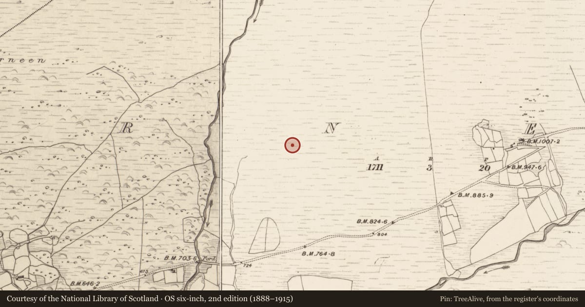 Ordnance Survey six-inch map, 2nd edition (1888–1915) covering the location of Hut site, Erneen, County Kerry, with a pin at the register's coordinates