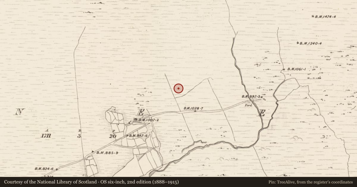 Ordnance Survey six-inch map, 2nd edition (1888–1915) covering the location of Hut site, Erneen, County Kerry, with a pin at the register's coordinates