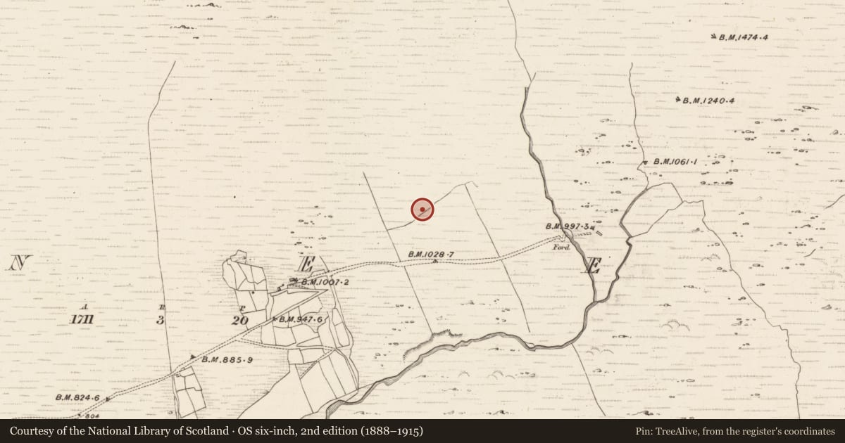 Ordnance Survey six-inch map, 2nd edition (1888–1915) covering the location of Hut site, Erneen, County Kerry, with a pin at the register's coordinates