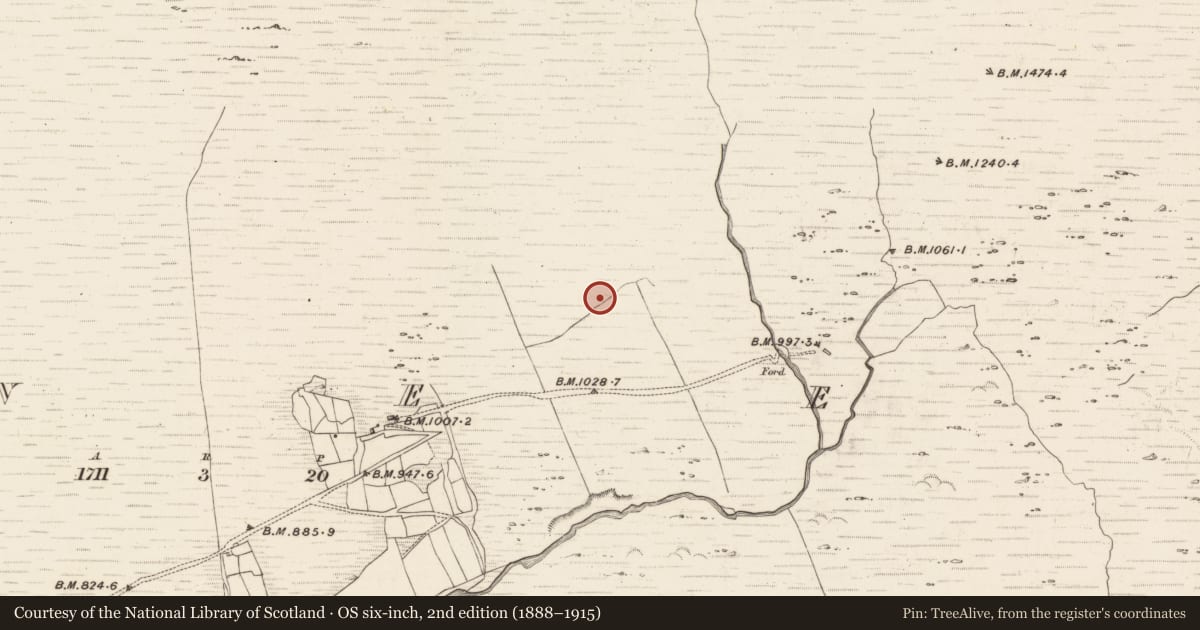 Ordnance Survey six-inch map, 2nd edition (1888–1915) covering the location of Field boundary, Erneen, County Kerry, with a pin at the register's coordinates