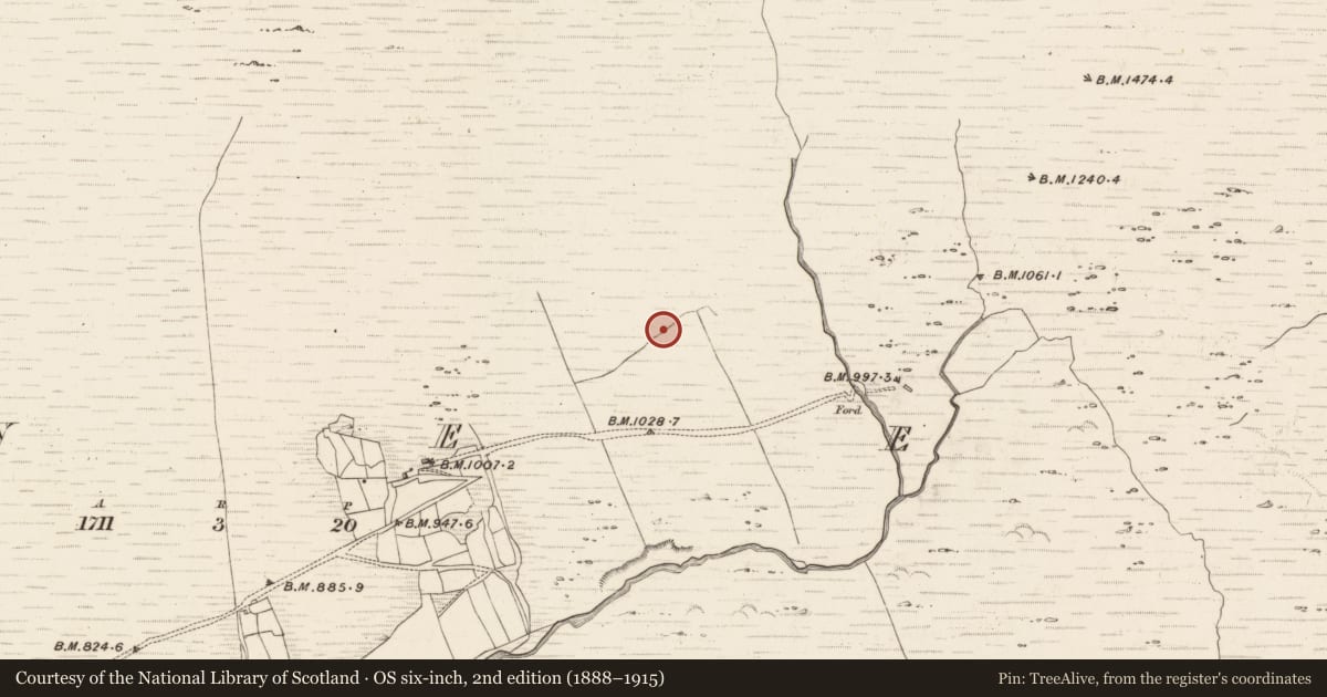 Ordnance Survey six-inch map, 2nd edition (1888–1915) covering the location of Hut site, Erneen, County Kerry, with a pin at the register's coordinates