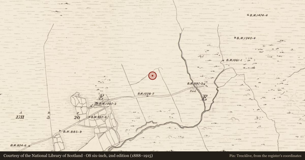 Ordnance Survey six-inch map, 2nd edition (1888–1915) covering the location of Hut site, Erneen, County Kerry, with a pin at the register's coordinates