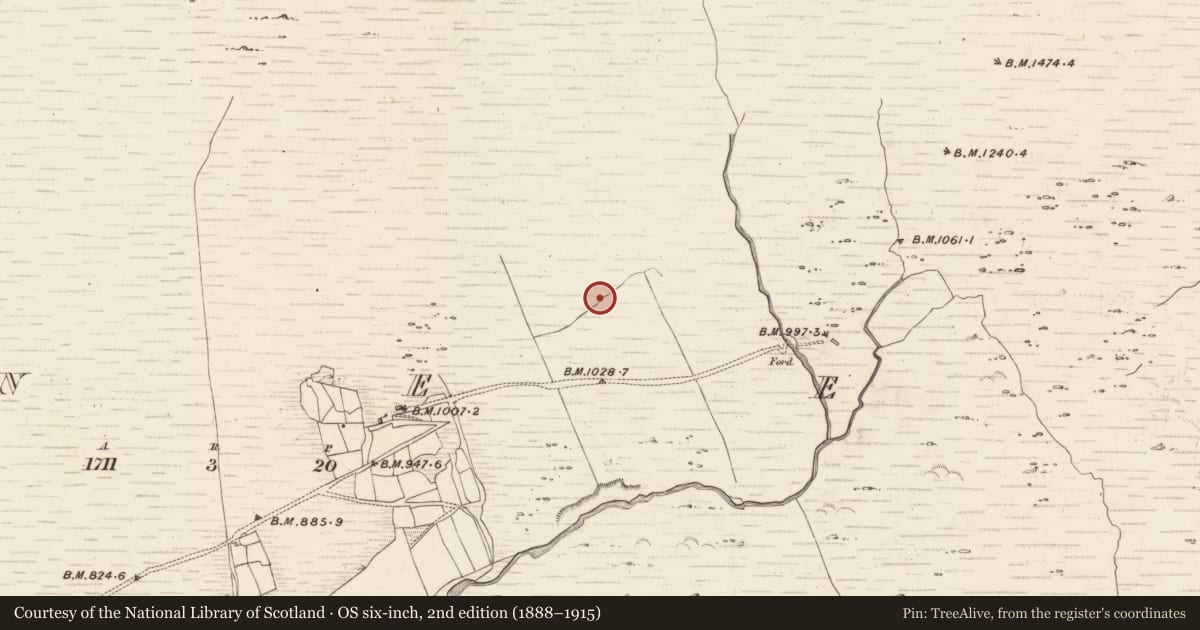 Ordnance Survey six-inch map, 2nd edition (1888–1915) covering the location of Hut site, Erneen, County Kerry, with a pin at the register's coordinates