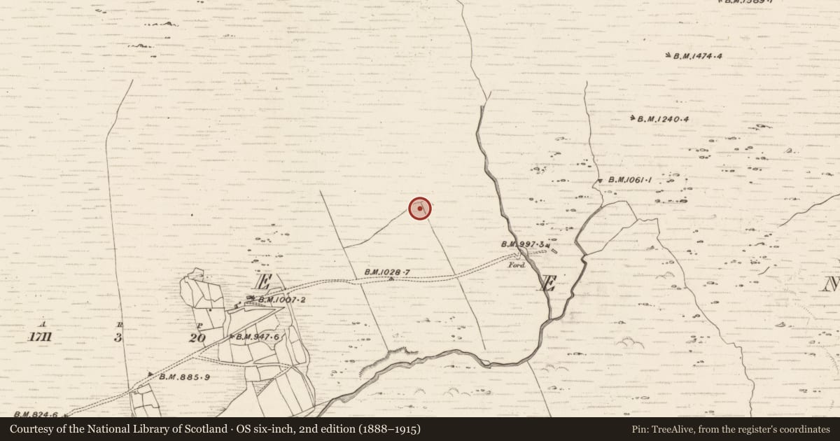 Ordnance Survey six-inch map, 2nd edition (1888–1915) covering the location of Hut site, Erneen, County Kerry, with a pin at the register's coordinates