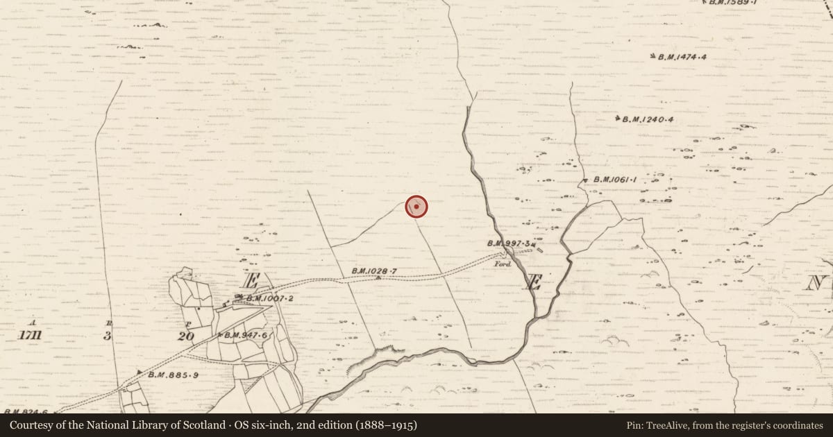 Ordnance Survey six-inch map, 2nd edition (1888–1915) covering the location of Hut site, Erneen, County Kerry, with a pin at the register's coordinates