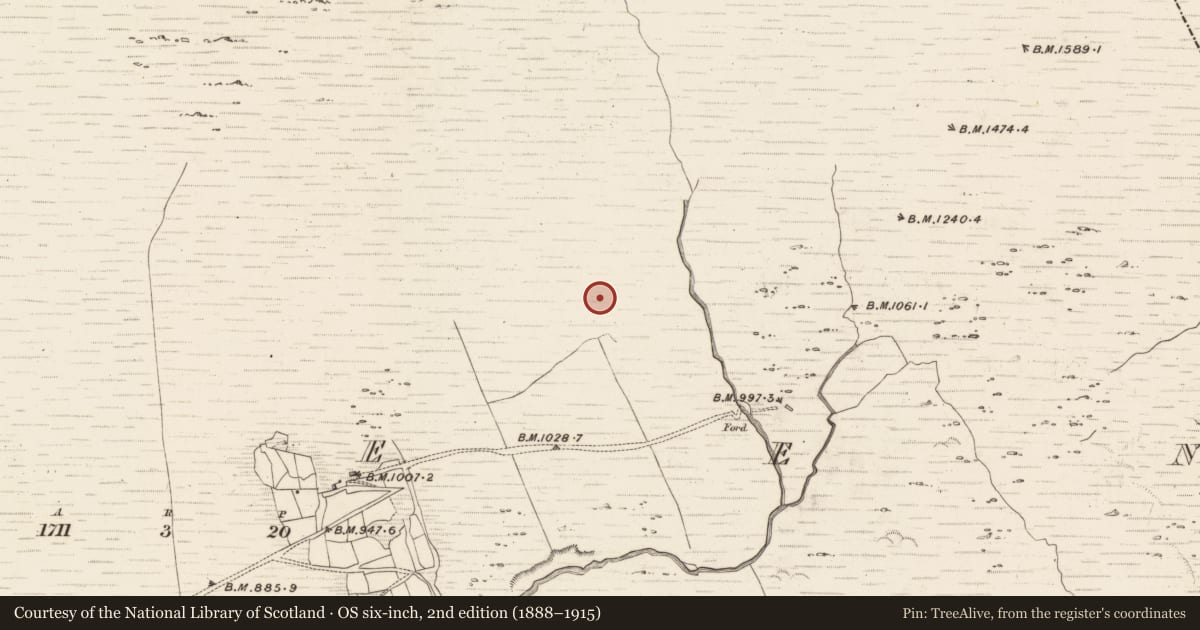 Ordnance Survey six-inch map, 2nd edition (1888–1915) covering the location of Hut site, Erneen, County Kerry, with a pin at the register's coordinates