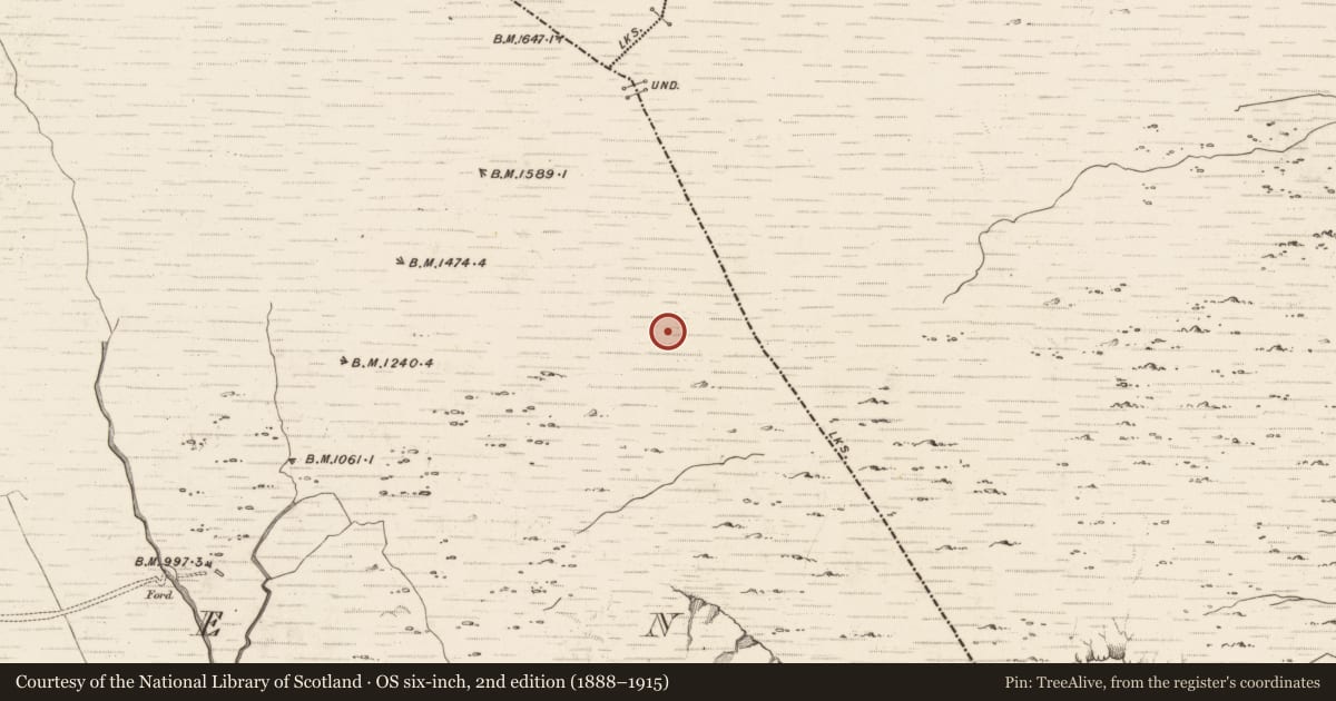 Ordnance Survey six-inch map, 2nd edition (1888–1915) covering the location of Hut site, Erneen, County Kerry, with a pin at the register's coordinates