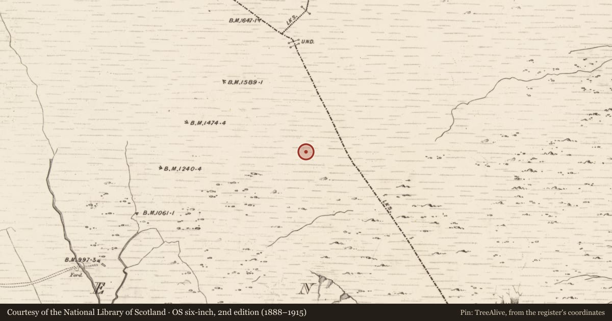 Ordnance Survey six-inch map, 2nd edition (1888–1915) covering the location of Hut site, Erneen, County Kerry, with a pin at the register's coordinates