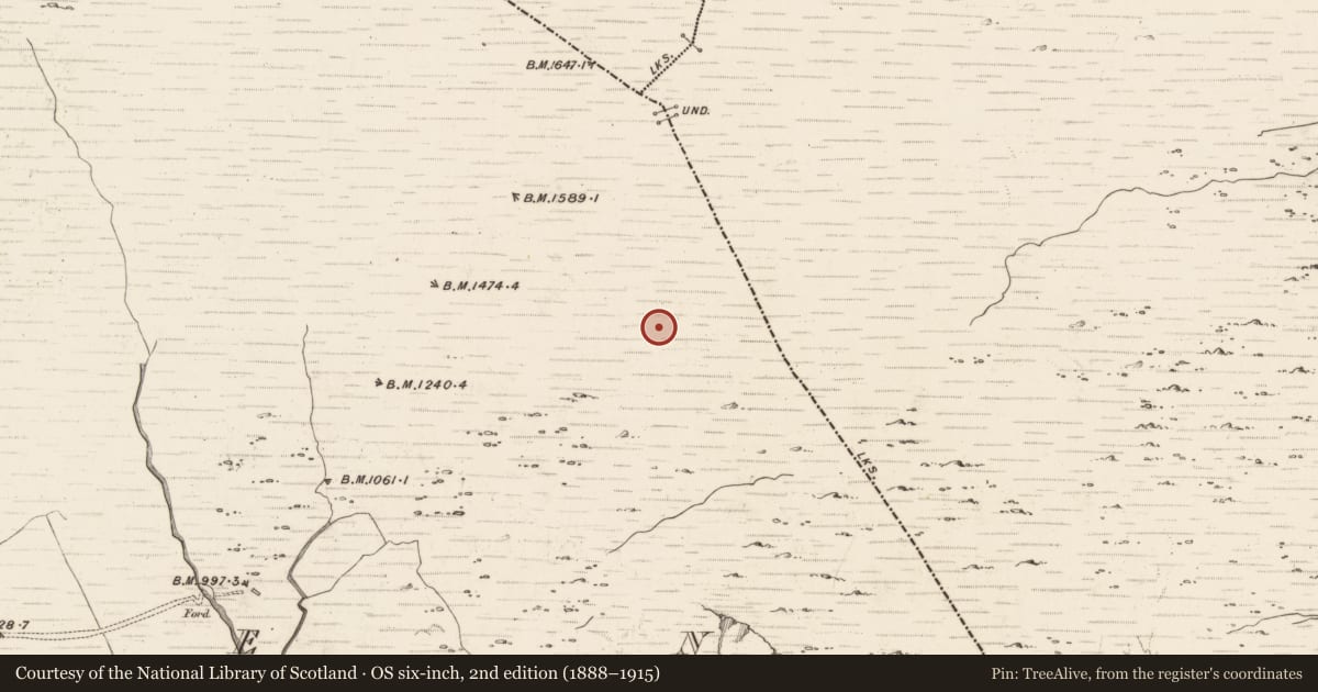 Ordnance Survey six-inch map, 2nd edition (1888–1915) covering the location of Field boundary, Erneen, County Kerry, with a pin at the register's coordinates