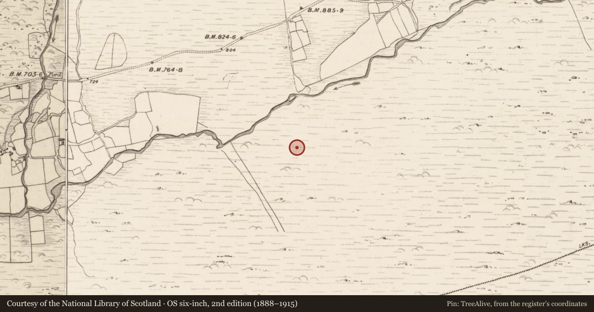 Ordnance Survey six-inch map, 2nd edition (1888–1915) covering the location of Field system, Erneen, County Kerry, with a pin at the register's coordinates