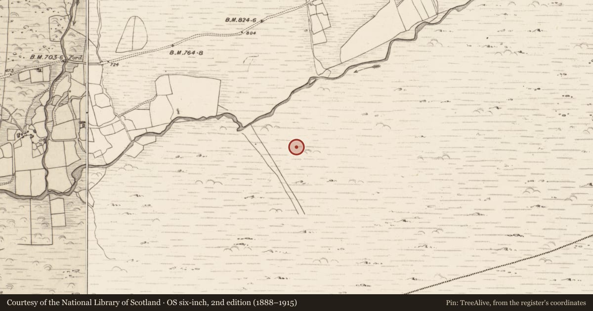 Ordnance Survey six-inch map, 2nd edition (1888–1915) covering the location of Hut site, Erneen, County Kerry, with a pin at the register's coordinates