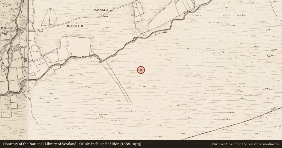 Ordnance Survey six-inch map, 2nd edition (1888–1915) covering the location of Hut site, Erneen, County Kerry, with a pin at the register's coordinates