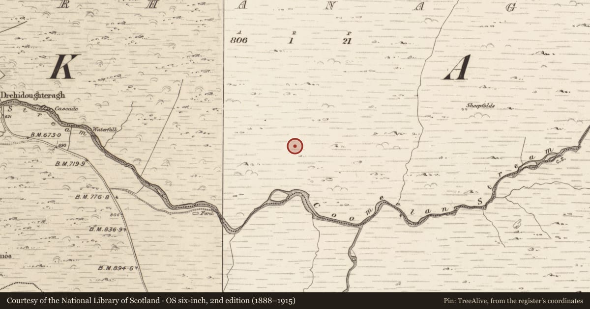 Ordnance Survey six-inch map, 2nd edition (1888–1915) covering the location of Field system, Gearhanagoul, County Kerry, with a pin at the register's coordinates