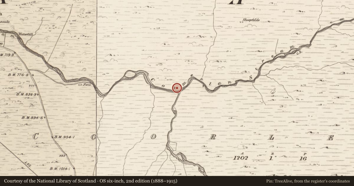 Ordnance Survey six-inch map, 2nd edition (1888–1915) covering the location of Hut site, Gearhanagoul, County Kerry, with a pin at the register's coordinates