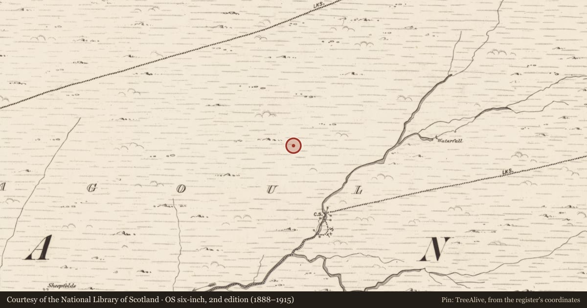 Ordnance Survey six-inch map, 2nd edition (1888–1915) covering the location of Hut site, Gearhanagoul, County Kerry, with a pin at the register's coordinates